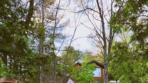 A wooden staircase leading to a cabin surrounded by trees. - Gorgeous 3 bed rooms waterfront cottage on Kennebec Lake (Arden)