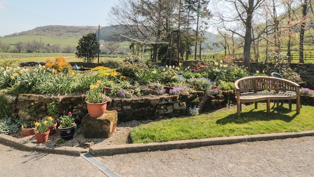 Un jardin avec un banc et des plantes en pot.
