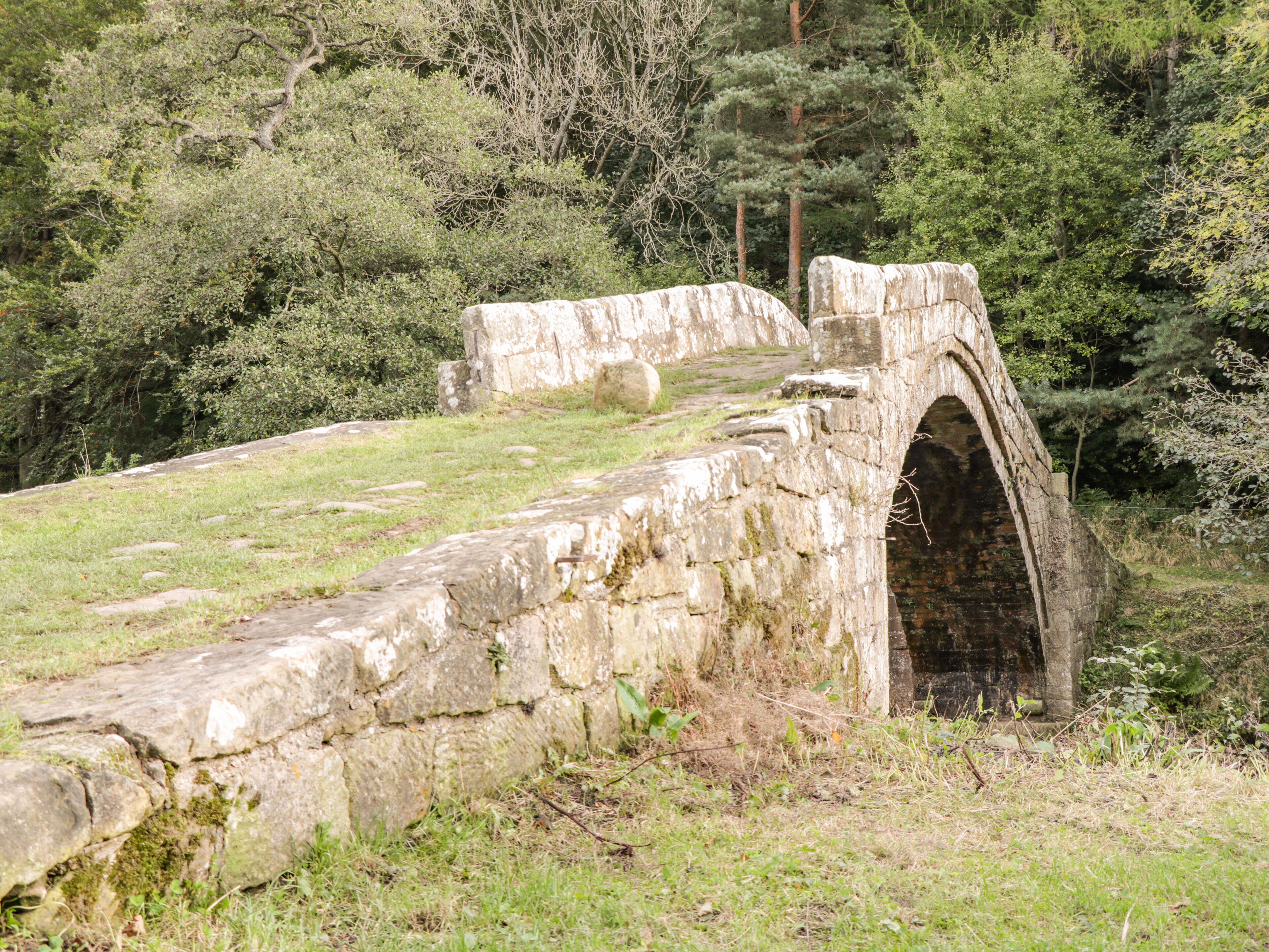 Un puente de piedra con arco sobre una zona cubierta de césped, rodeado de árboles.