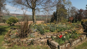 A garden with a stone wall, various plants, and trees. - Silver Birches (Whitby)