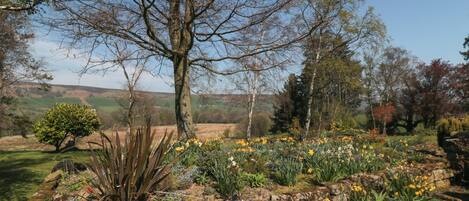 Sumarhús | Lóð gististaðar