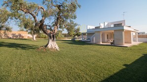 A modern house with a large tree in the front yard. - TD Villa Patrizia Pool Alfresco Kitchen (Monopoli)