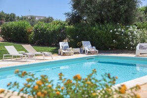 House | 3 bedrooms - TD Villa Patrizia Pool Alfresco Kitchen (Monopoli)