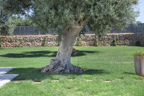 Casa | 3 habitaciones 