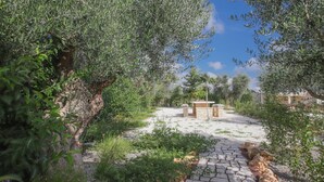 A paved pathway leading to a stone structure surrounded by olive trees and greenery.
