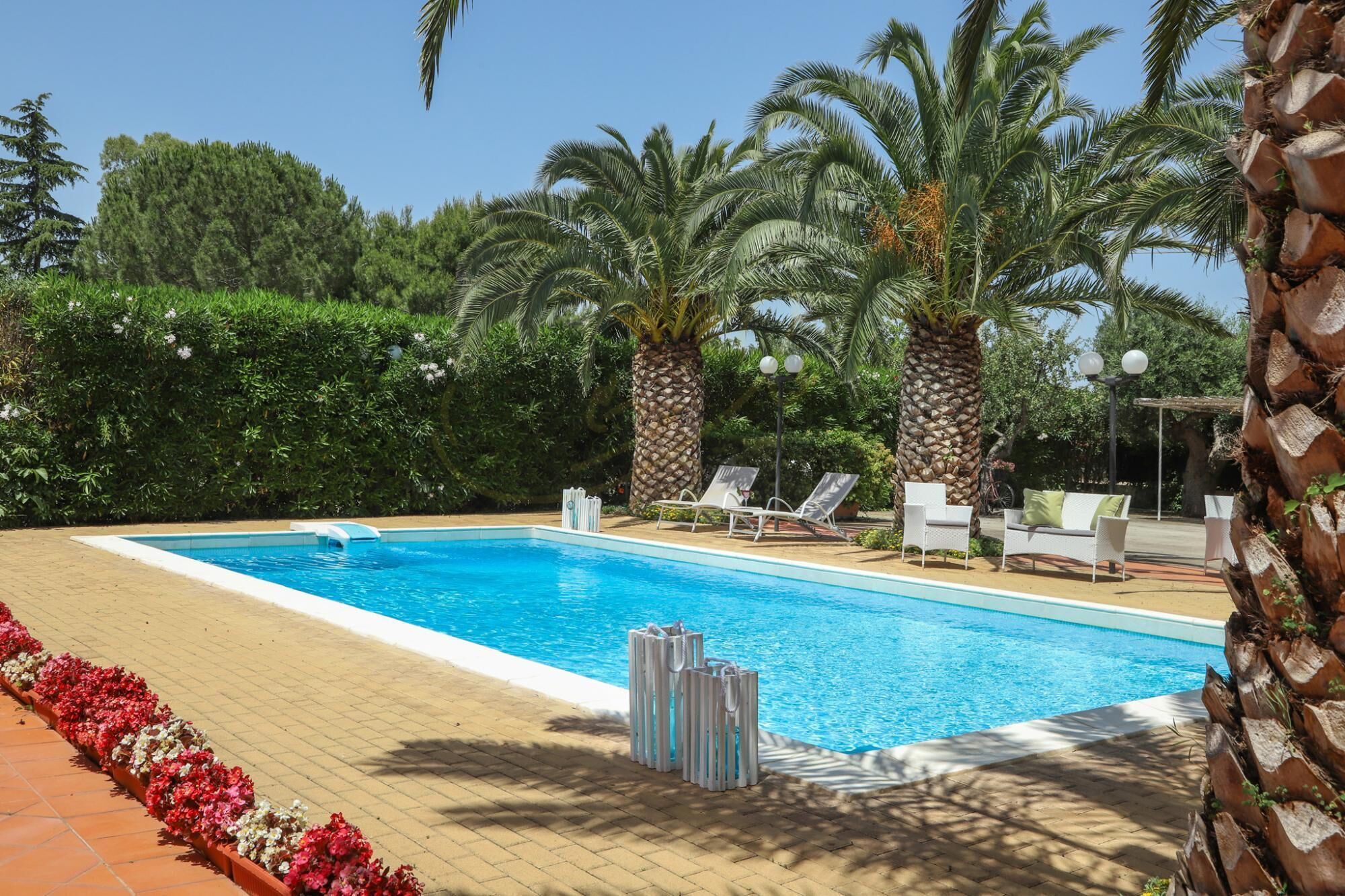 Piscina rectangular con solárium empedrado, rodeada de palmeras y setos. Hay tumbonas y una pequeña zona de estar con un farol.