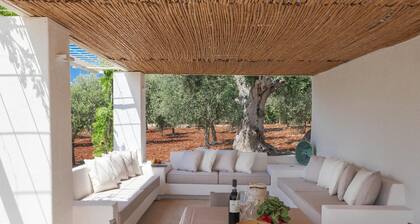 TD Casa Lul Panoramic Pool Over Mediterranean Scrub