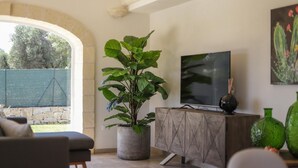 Una sala de estar con televisor, una planta grande en maceta, un aparador de madera y una pared de piedra.