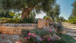 A garden with a large tree, stone wall, and pink flowers. - TD Trulli di Montaltino With Stunning Huge Pool (Polignano a Mare)