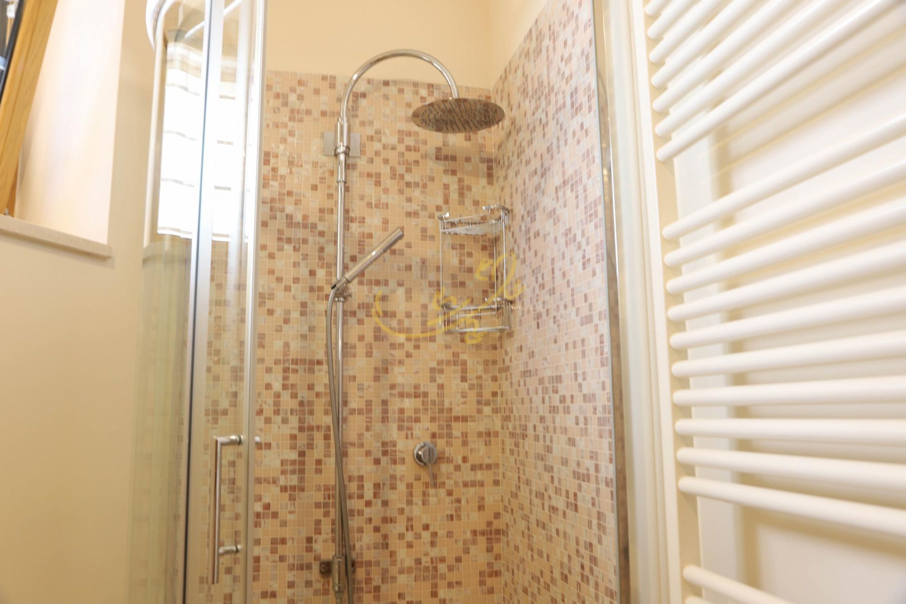 Une douche équipée d’un pommeau de douche à effet pluie, d’un pommeau de douche à main et d’une cabine de douche fermée par des parois en verre.
