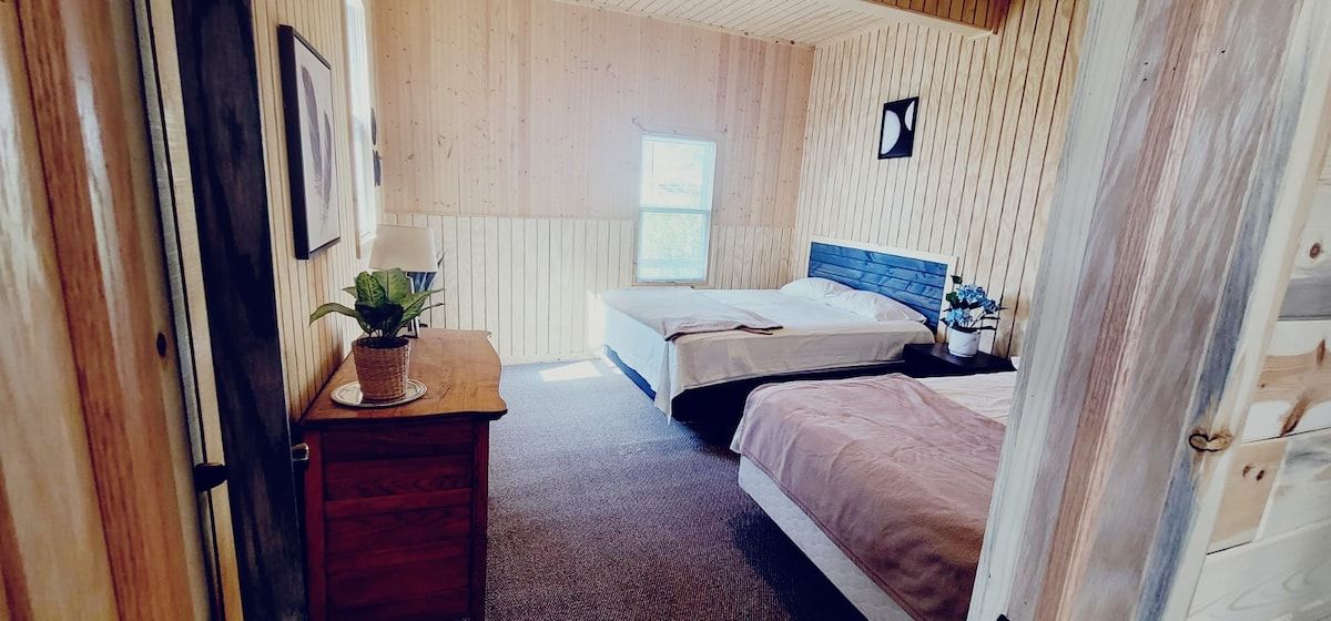 Une chambre avec deux lits, une commode en bois, une fenêtre et une plante en pot.