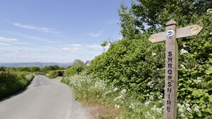 Un panneau indicateur en bois indiquant la direction du Shropshire.