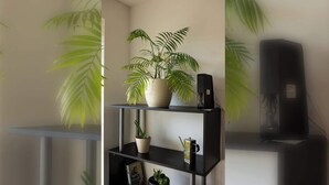 A room with a black shelf holding a potted plant, a speaker, and a small container.