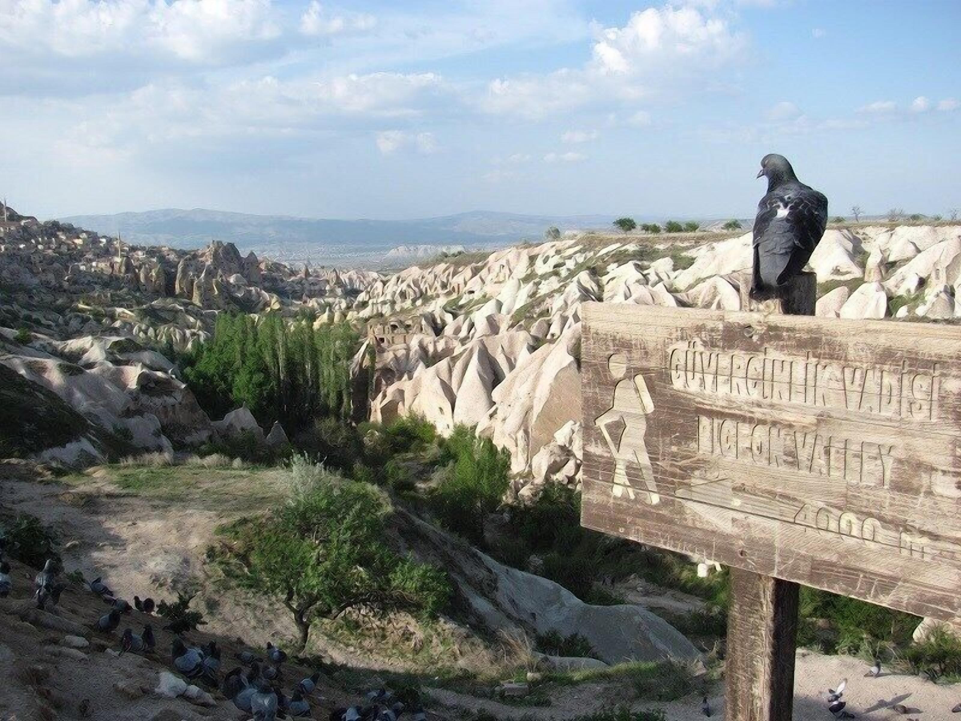 Un segnale di legno raffigura una sagoma di un escursionista sullo sfondo di un paesaggio roccioso con cielo sereno.