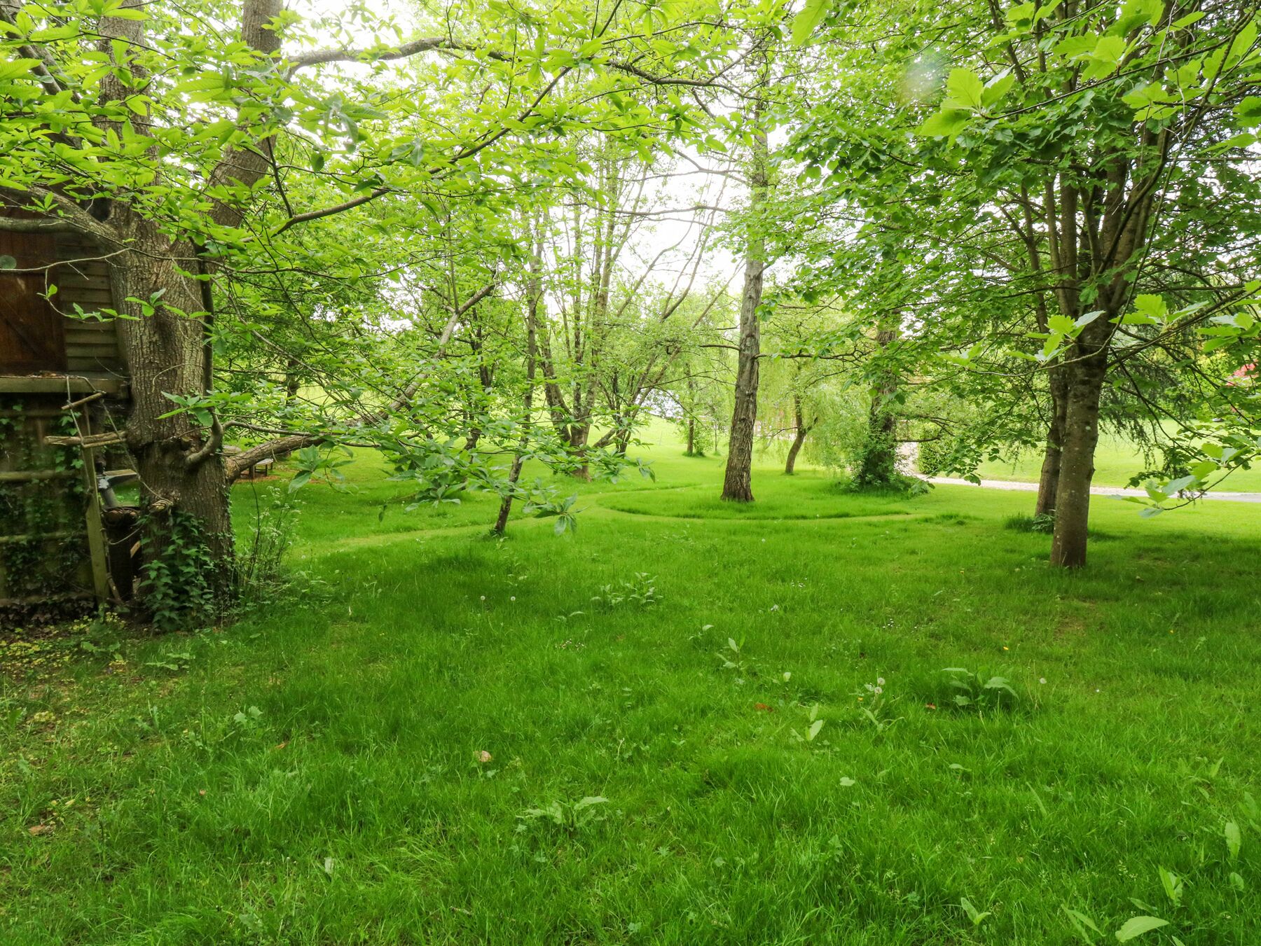 A lush green garden with trees and a wooden structure.