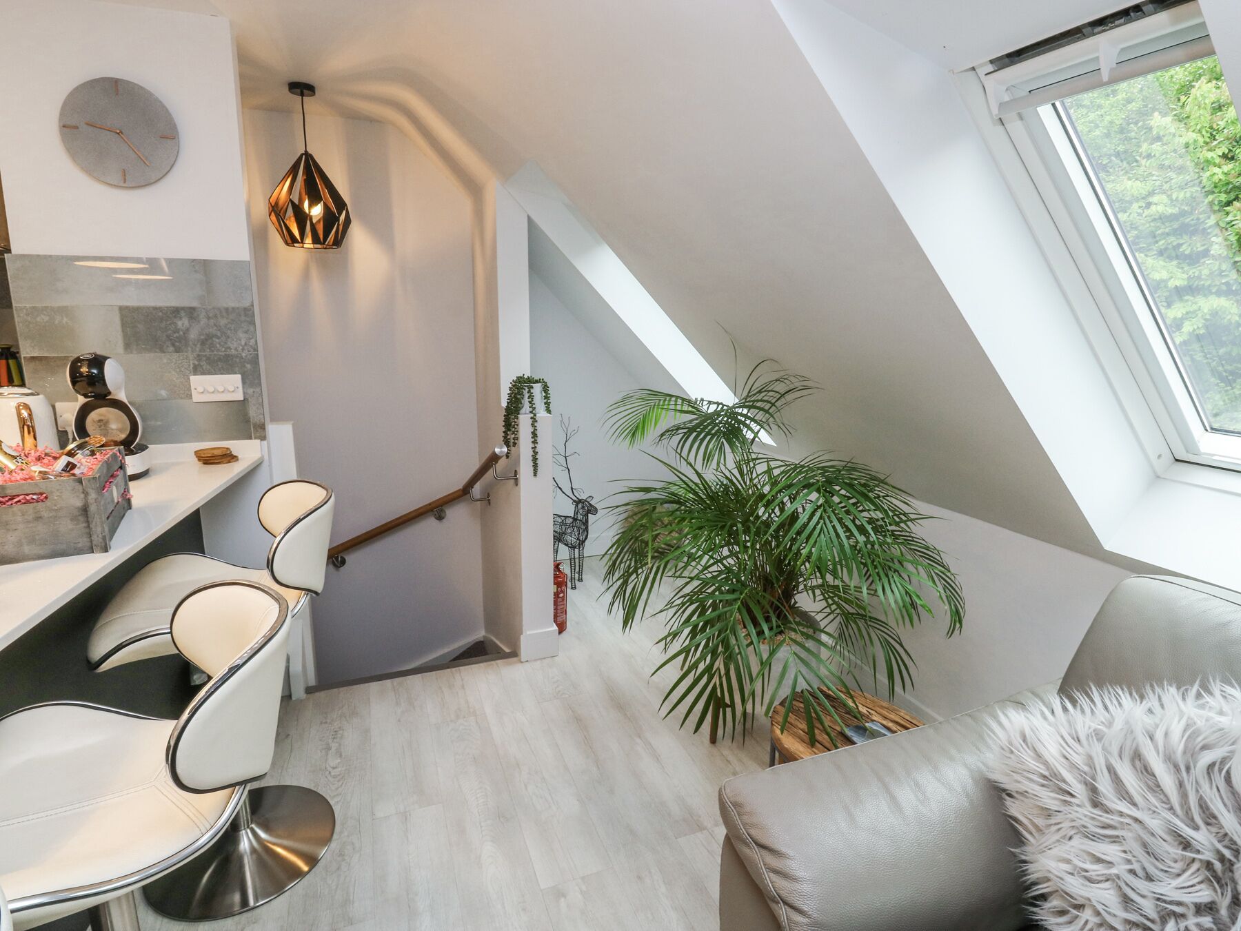 A modern loft bedroom with a skylight, a dining area with a kitchen, and a large potted plant.