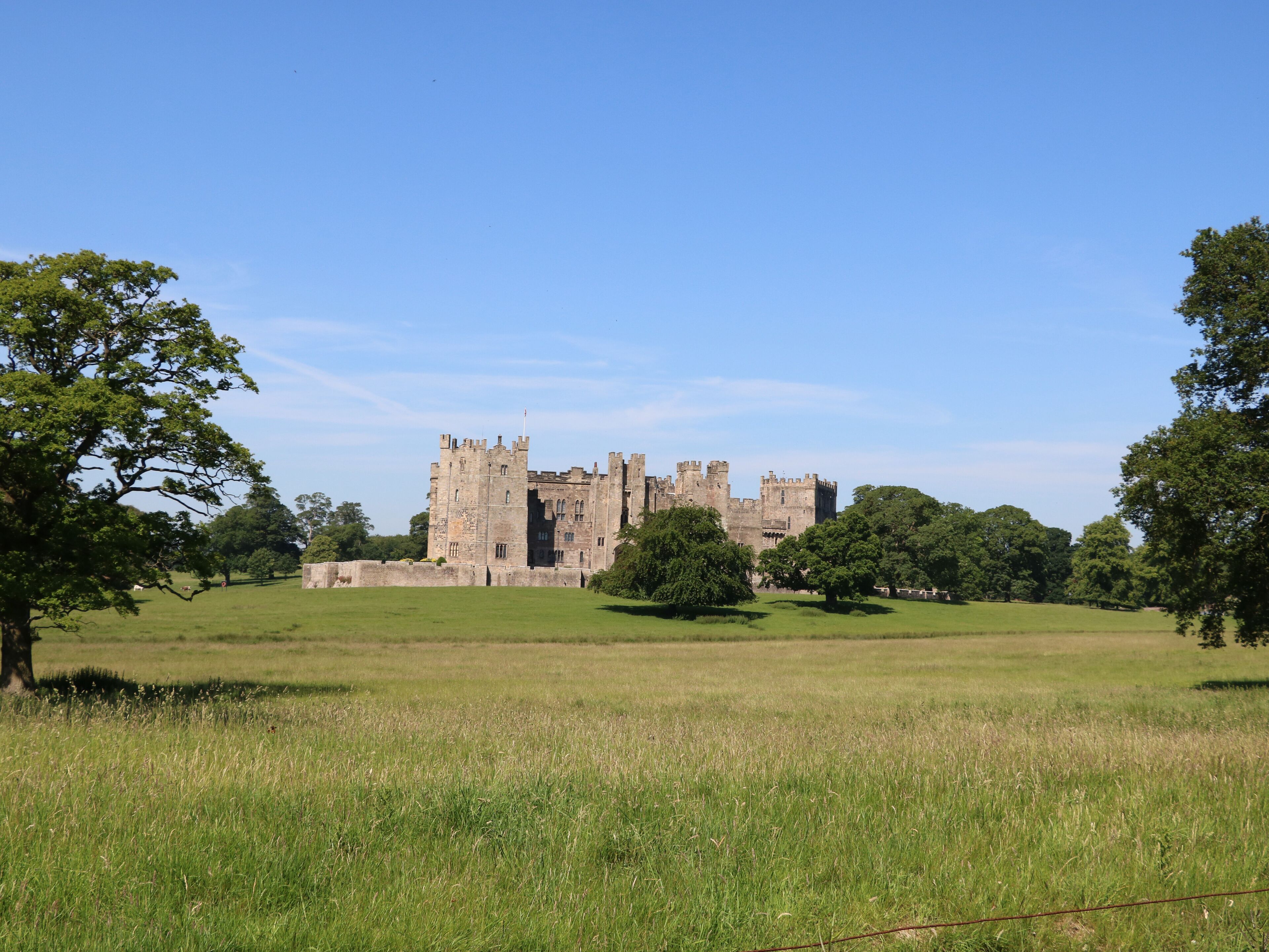 Un château historique doté de nombreuses tours et d’une vaste cour entourée d’arbres.