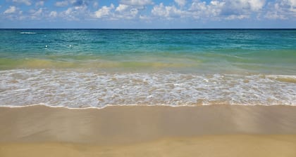 Cozy Rustic 1BR Cottage - Free Parking, WiFi w/ Pool & Beach Access