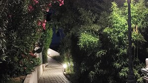 A wooden pathway leading through a garden at night with a lamp post. - Appart-hôtel-piscine (Fréjus)