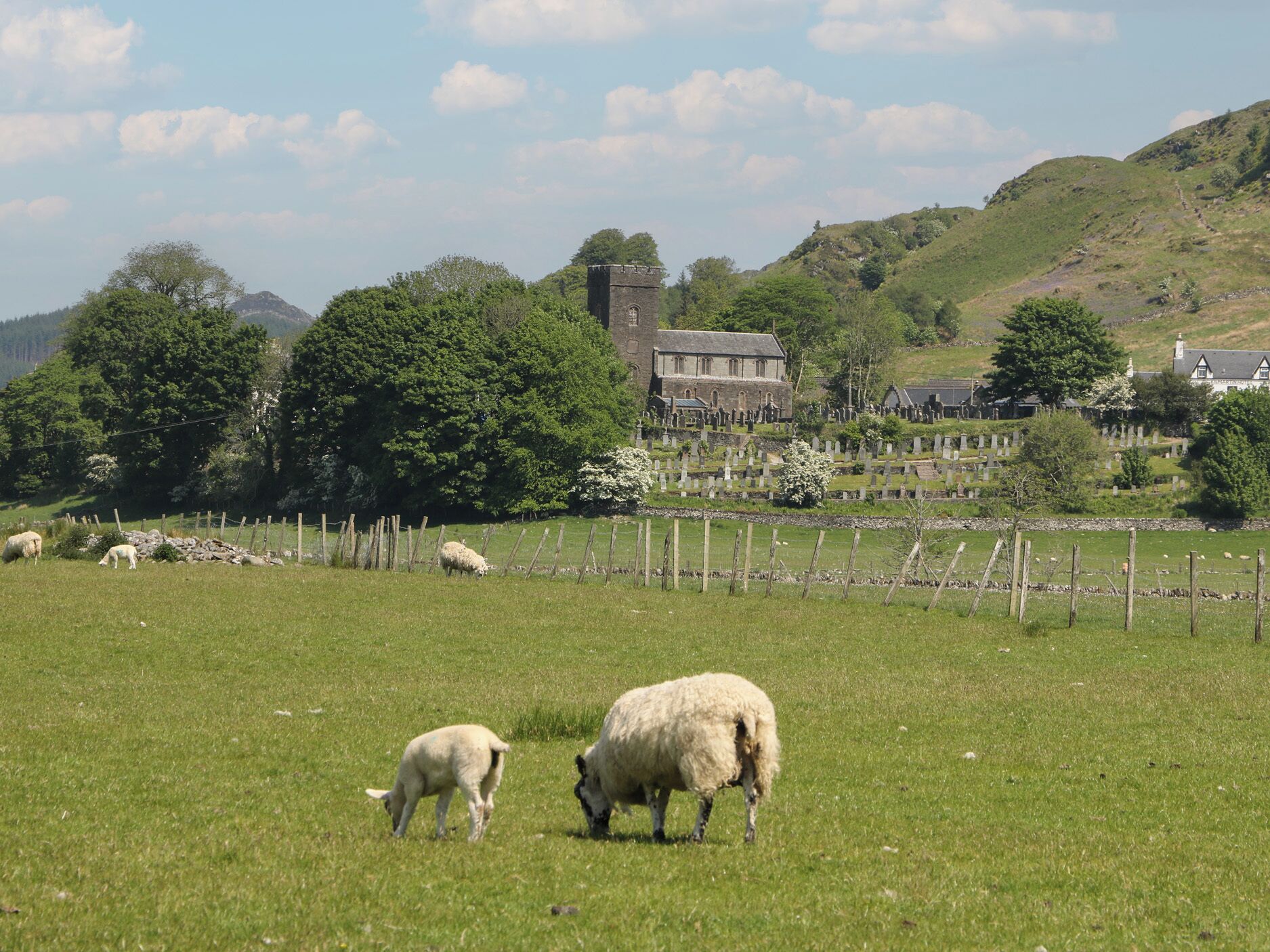 A rural landscape with a grassy field, sheep grazing, and a historic building in the background.