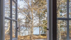 Näkymä ikkunasta metsäiselle alueelle, jossa on puita ja polku.