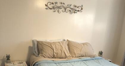 Cozy home next to airport with fenced backyard and lots of sun!