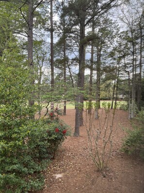 Property grounds - Charming Pinehurst Golf Front Condo (Pinehurst)