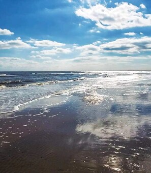 Plage à proximité