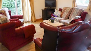 A living room with red leather sofas, a wooden coffee table with a potted plant, a television, and a fireplace. - Borahard Lodge (Naas)
