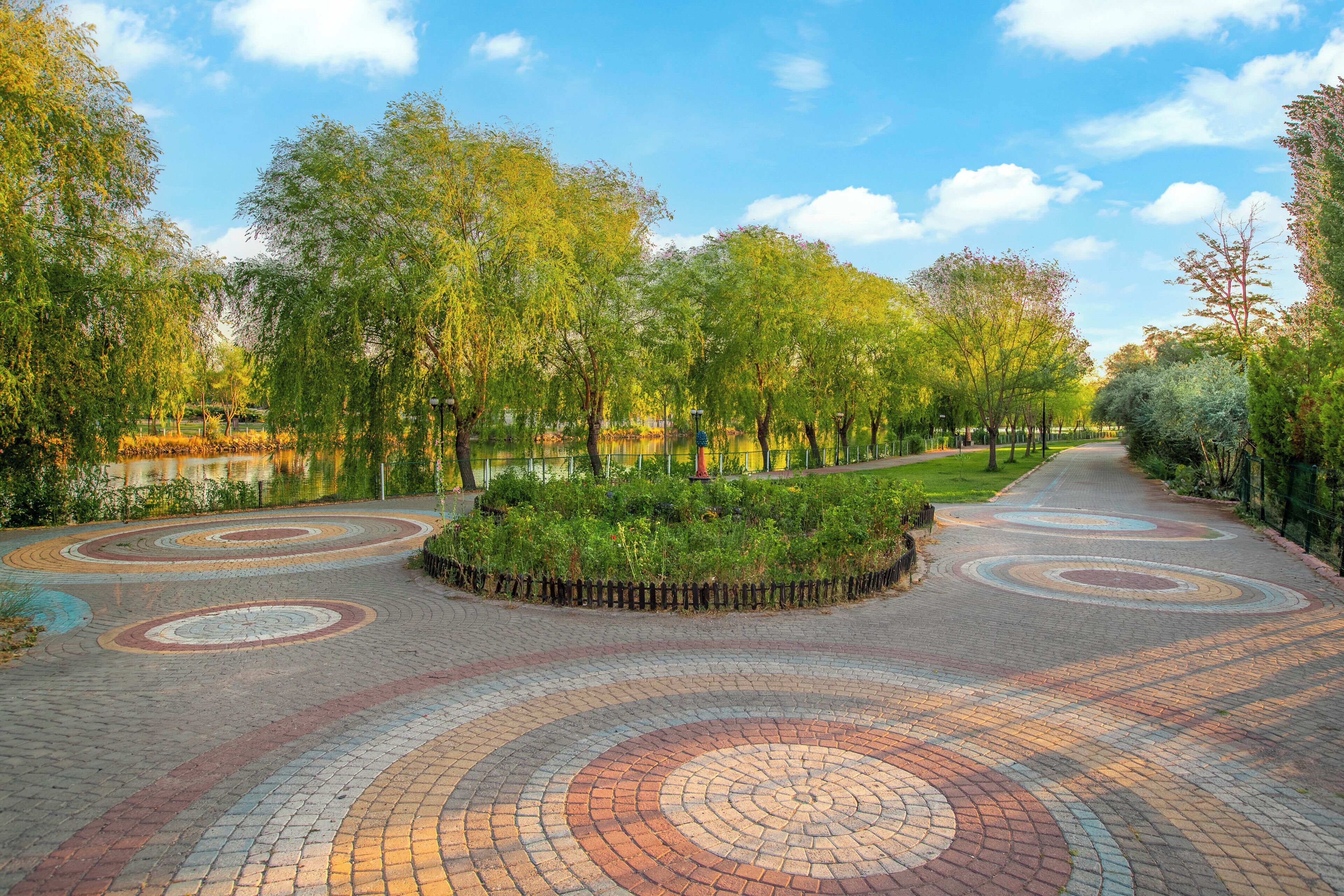 Un sentier pavé orné de motifs circulaires, bordé d’arbres et entouré d’une étendue d’eau.