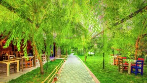Un sendero atraviesa un jardín con bancos y mesas de madera, rodeado de abundante vegetación.
