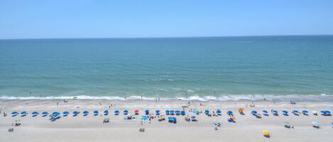 Basic Condo, 1 Bedroom, Balcony, Oceanfront (1205) | Balcony view