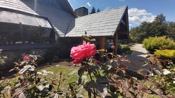 A house with a sloped roof, a garden with roses, and a stone wall.