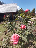 Un jardín con rosas y un edificio con techo inclinado.