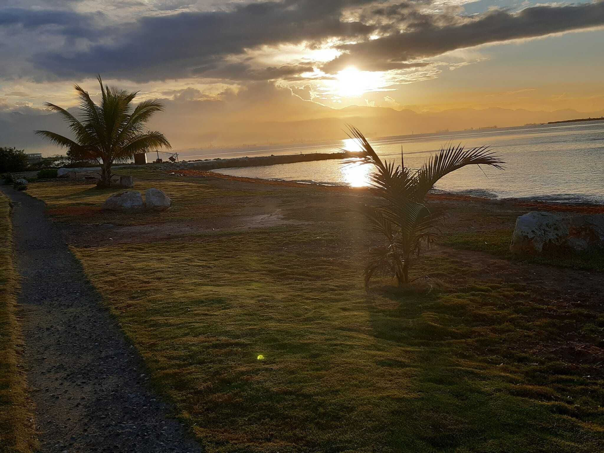 Un sentiero costiero con palme e vista sull'oceano al tramonto.