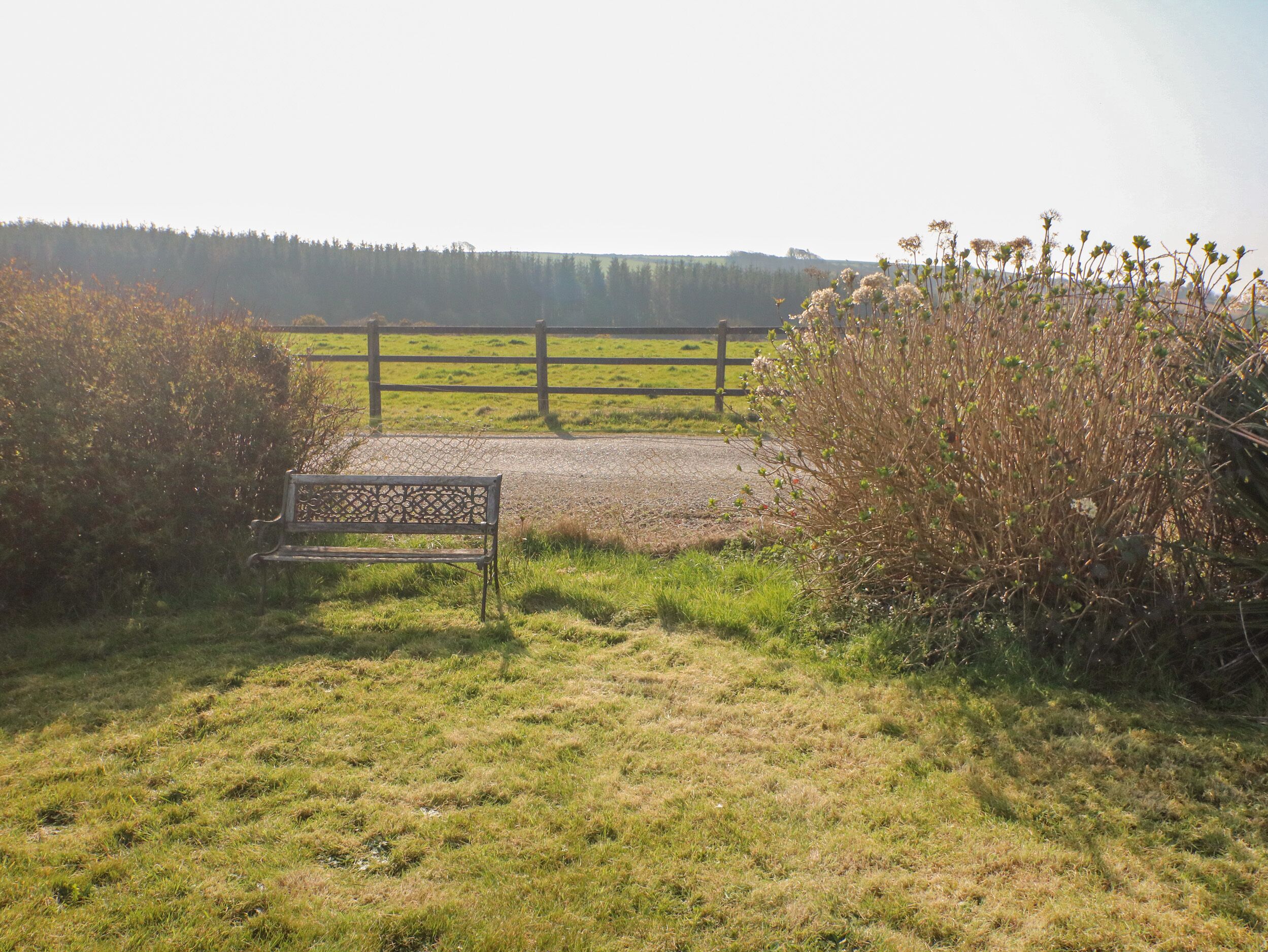 A bench in a grassy field with a wooden fence and a forest in the background.