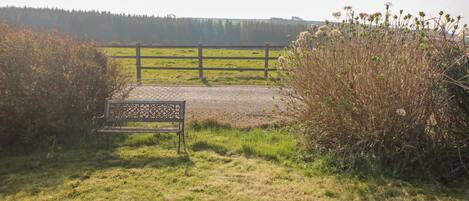 A bench in a grassy field with a wooden fence and a forest in the background.