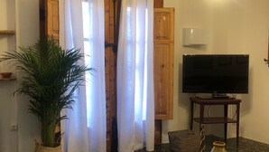 Una sala de estar con televisor, una planta en maceta, un tapete estampado y puertas de madera.