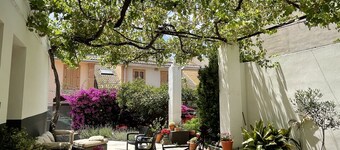 House with garden a stone's throw from the center of Valencia and the beach
