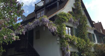 "An den Rebterrassen", sehr schöne Dachgeschosswohnung, naturnah, Dachterrasse