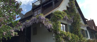 "An den Rebterrassen", very nice top floor apartment, close to nature, roof terrace