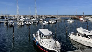 Ein Yachthafen mit verschiedenen Schiffen im Hafen, darunter Segelboote und Motorboote, unter einem strahlend blauen Himmel.