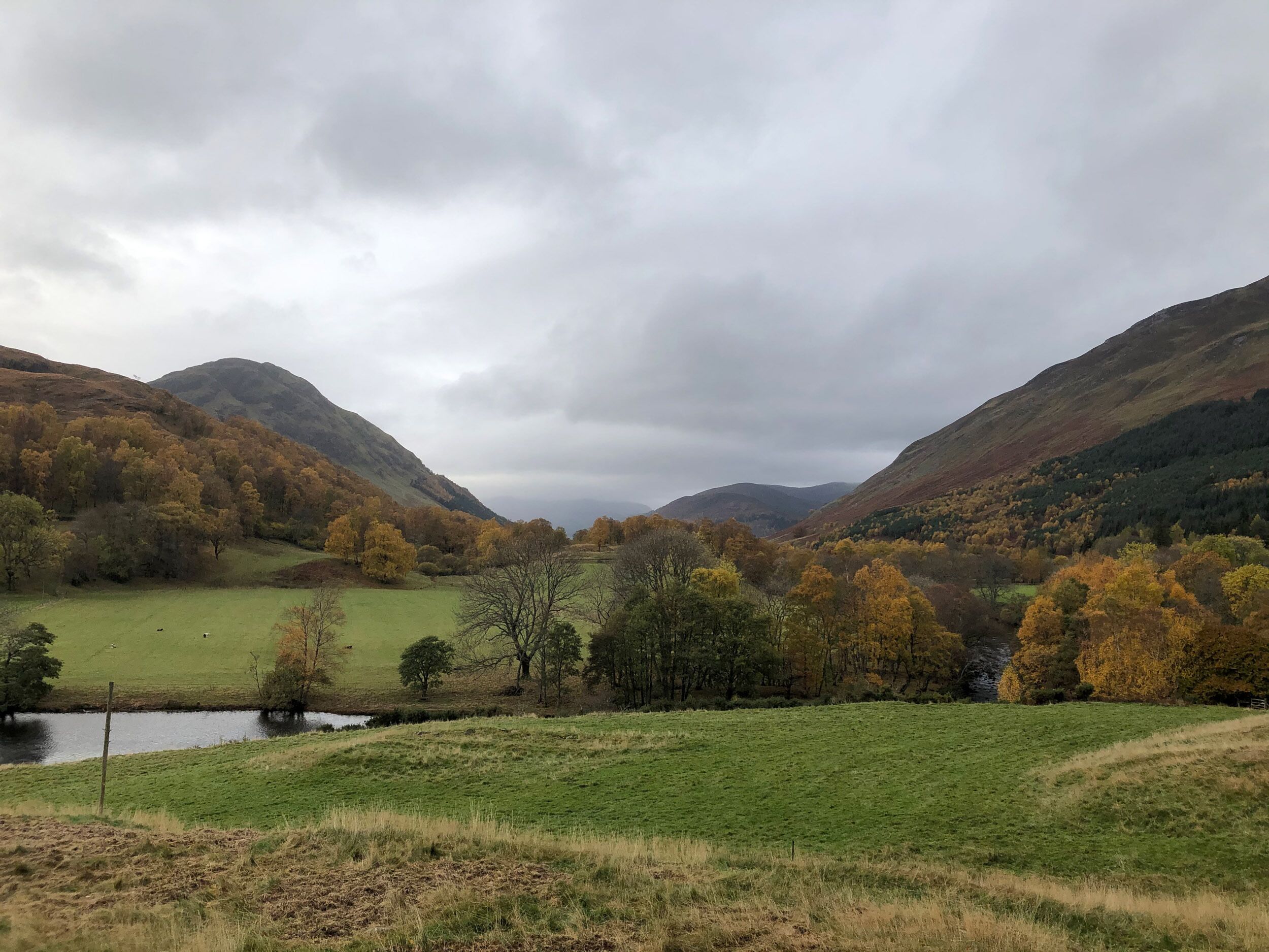A rural landscape with a small pond, grassy fields, and autumn-colored trees.