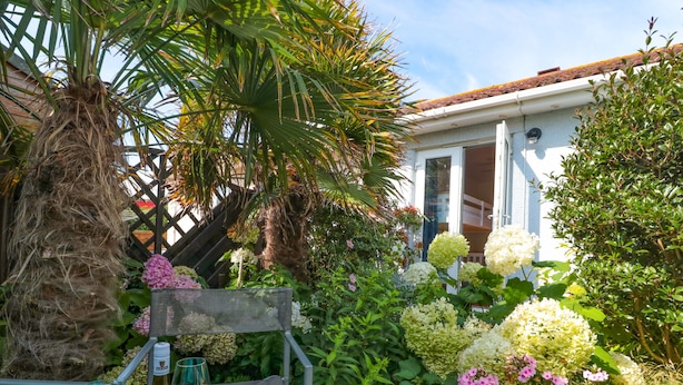 A garden with a table and chairs, a bottle of wine, and a house in the background. - Tillys Cottage (Weston-super-Mare)