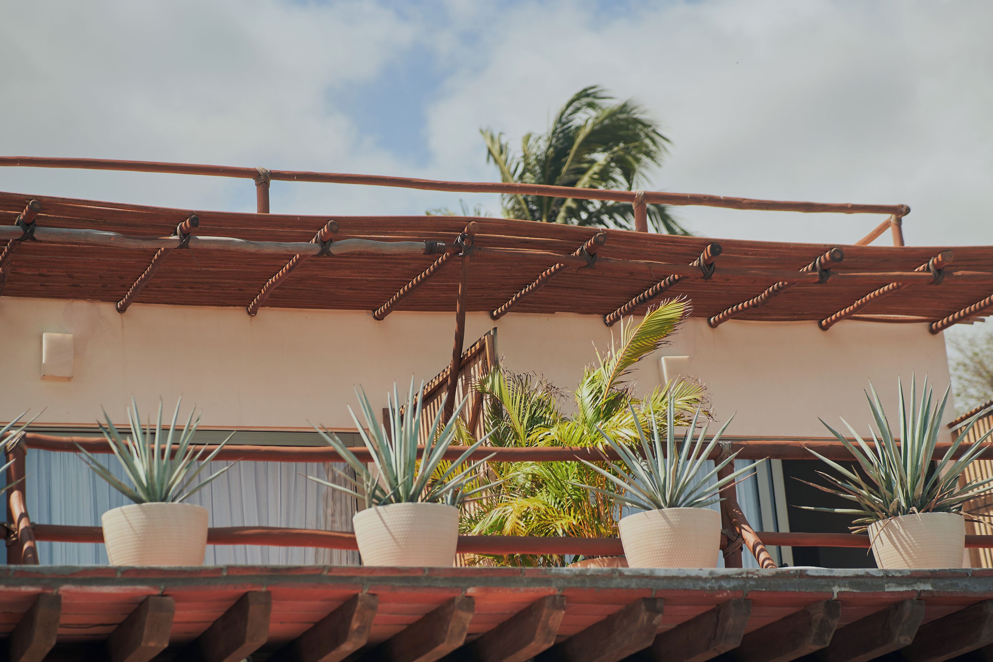 A rooftop terrace with a wooden pergola, potted plants, and a view of palm trees.