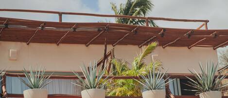 A rooftop terrace with a wooden pergola, potted plants, and a view of palm trees.