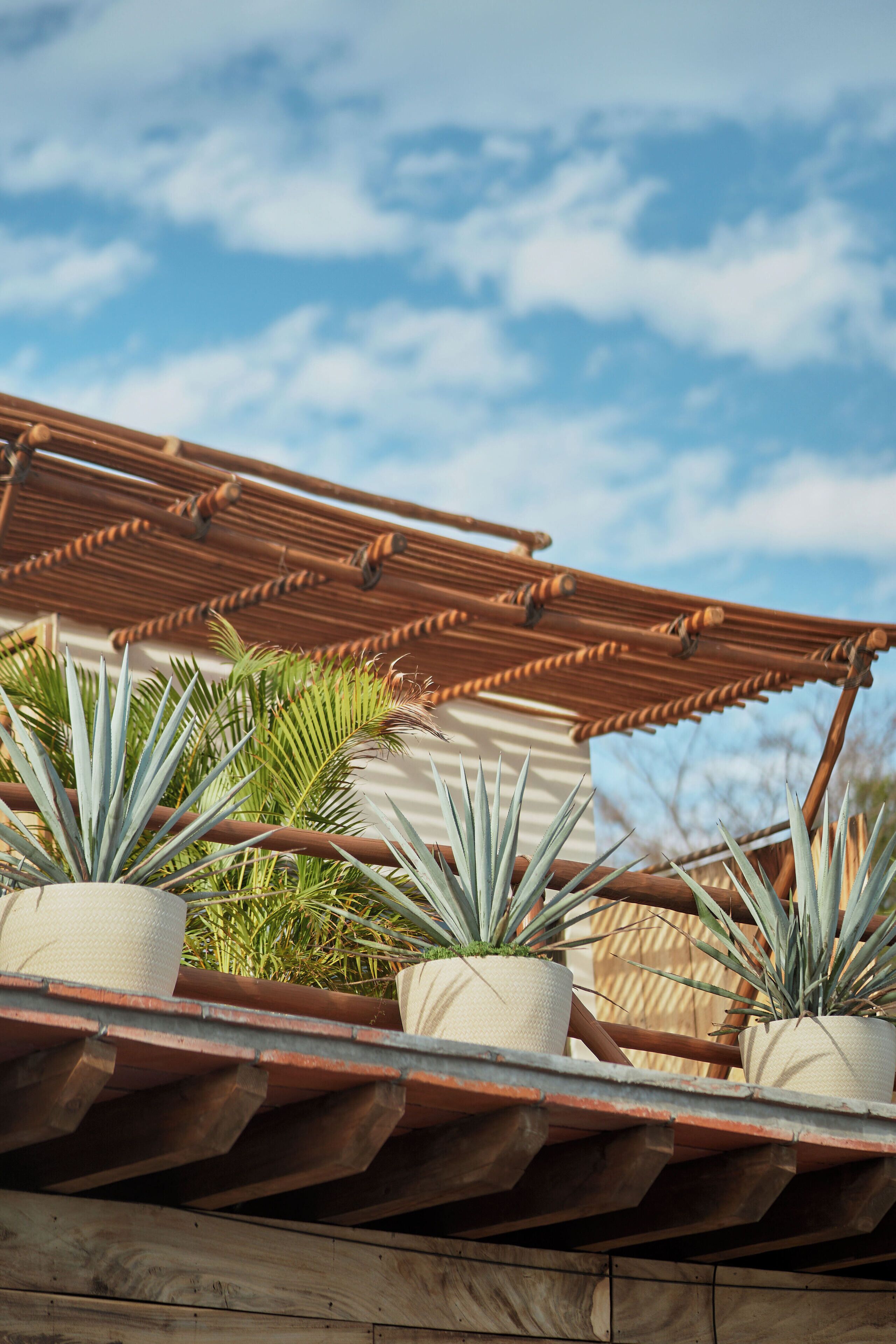A wooden pergola with potted plants.