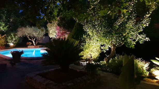 A nighttime outdoor area with a swimming pool, surrounded by various trees and shrubs, illuminated by artificial lighting. - The villa (Beauvoisin)