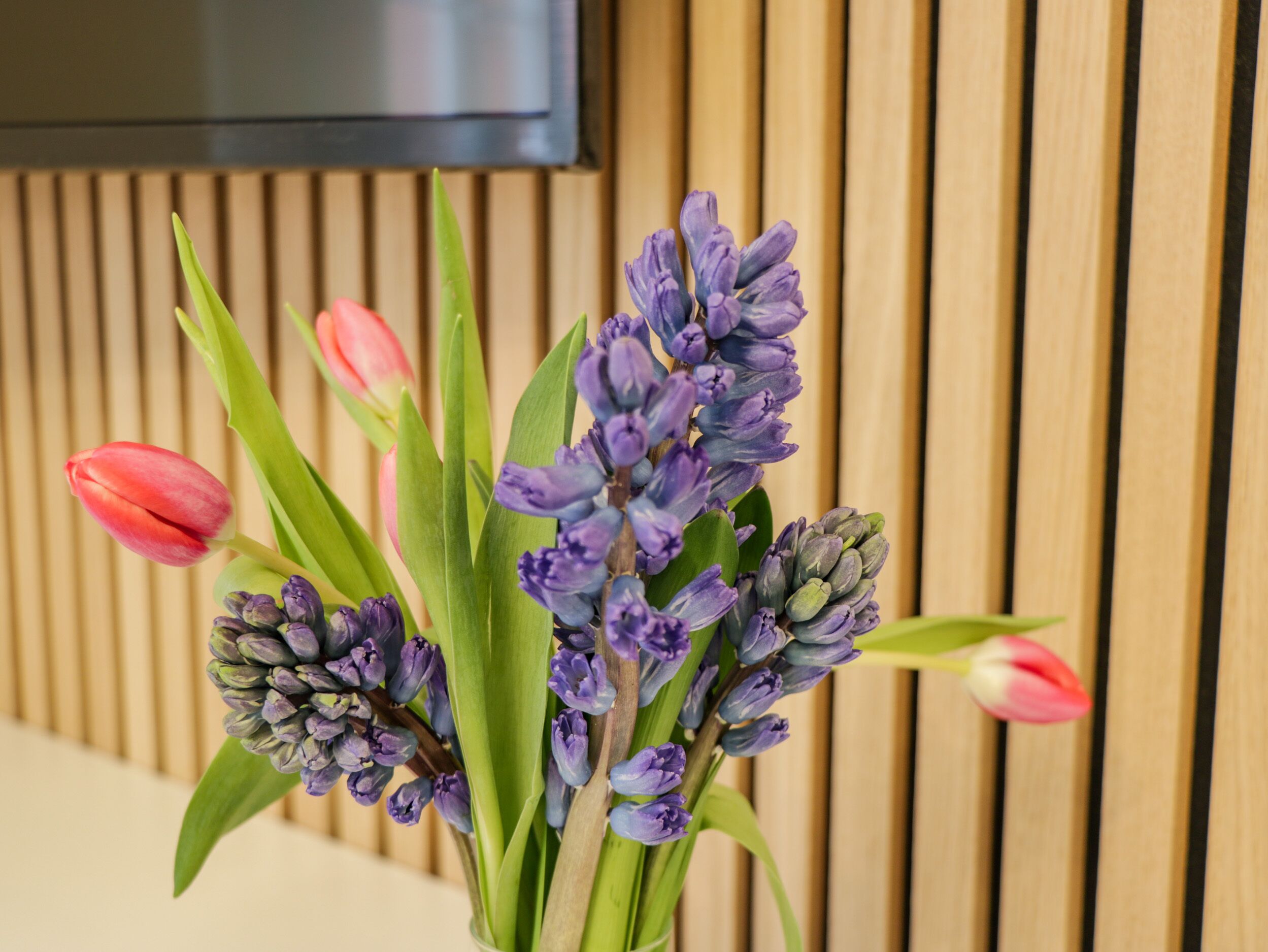 A bouquet of purple hyacinths and pink tulips in a vase against a wooden wall with vertical slats.