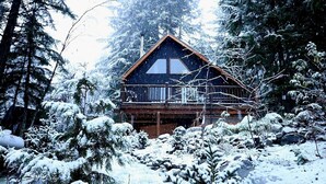 A cabin surrounded by snow-covered trees. - Romantic Off-Grid Cabin (Lytton)
